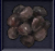 Rosine +1.png