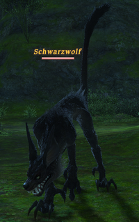 Schwarzwolf